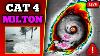 Breaking Hurricane Milton Becomes Worst Hurricane In Years Catastrophic Impacts In Florida Soon